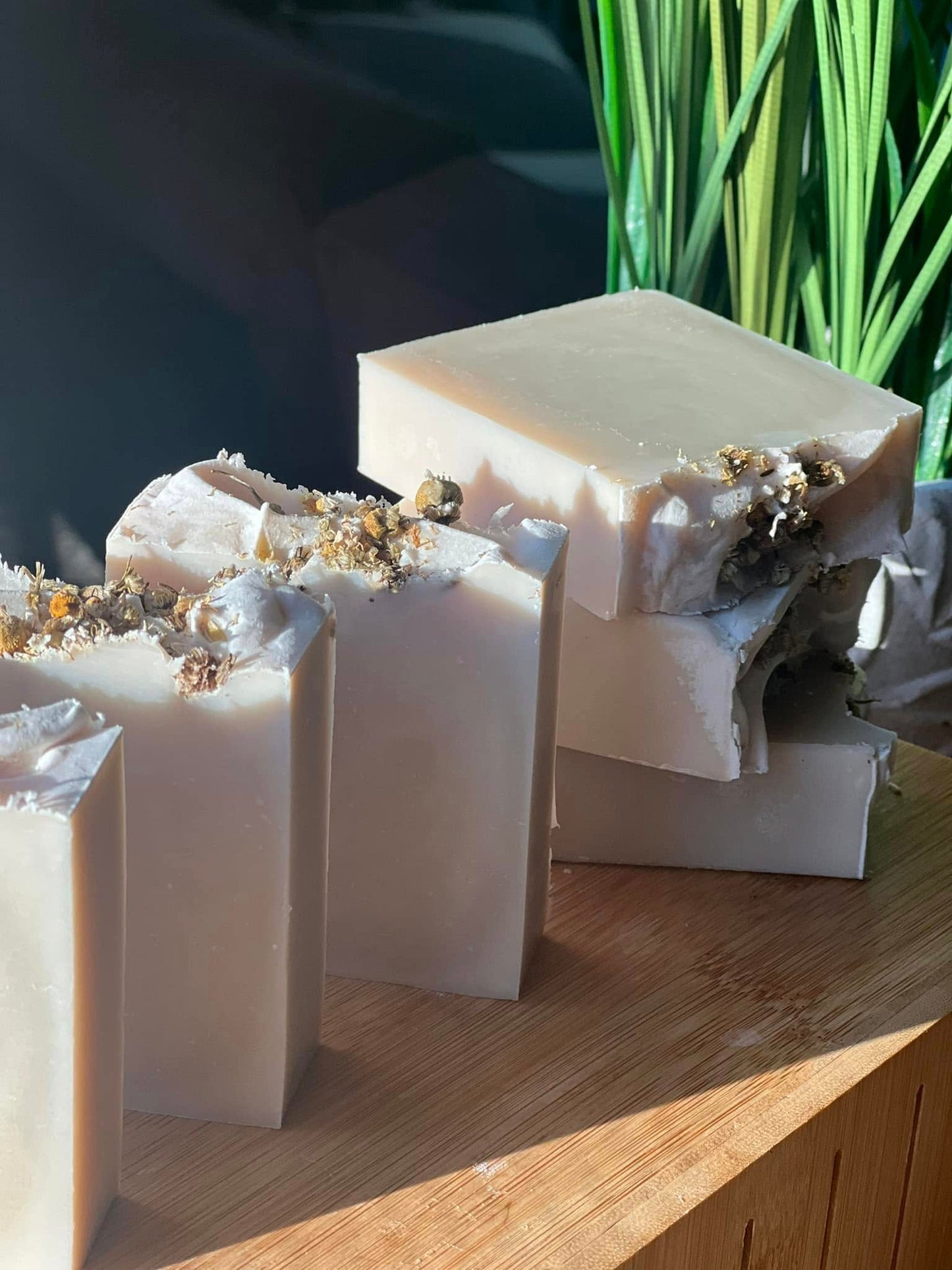 Cashmere Coconut Bar